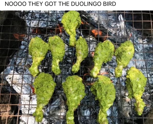 NOOOO they got the Duolingo bird and are about to grill it