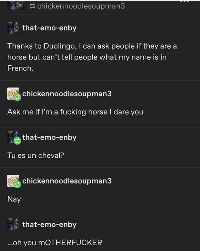When Duolingo teaches you useful French phrases like 'Are you a horse?' but not how to say your name.