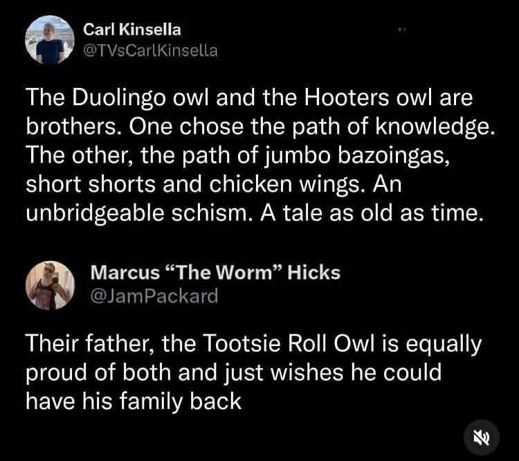 The Duolingo owl and the Hooters owl are brothers, one chose knowledge and the other chose... well, wings.