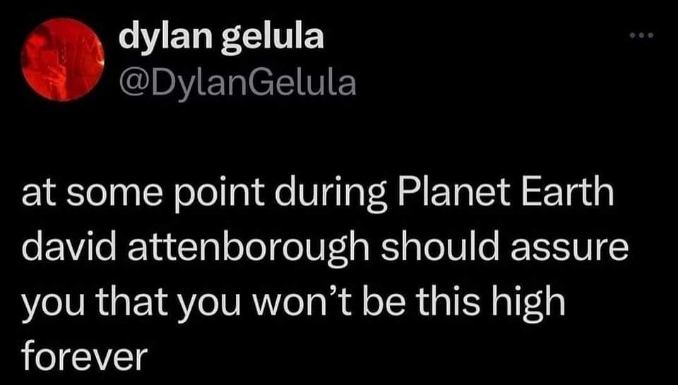 David Attenborough needs to narrate my highness and assure me it's not permanent rn