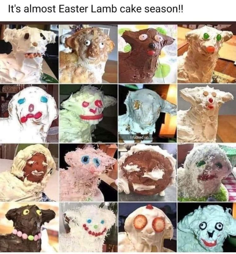 These lamb cakes look like they've seen some things lol