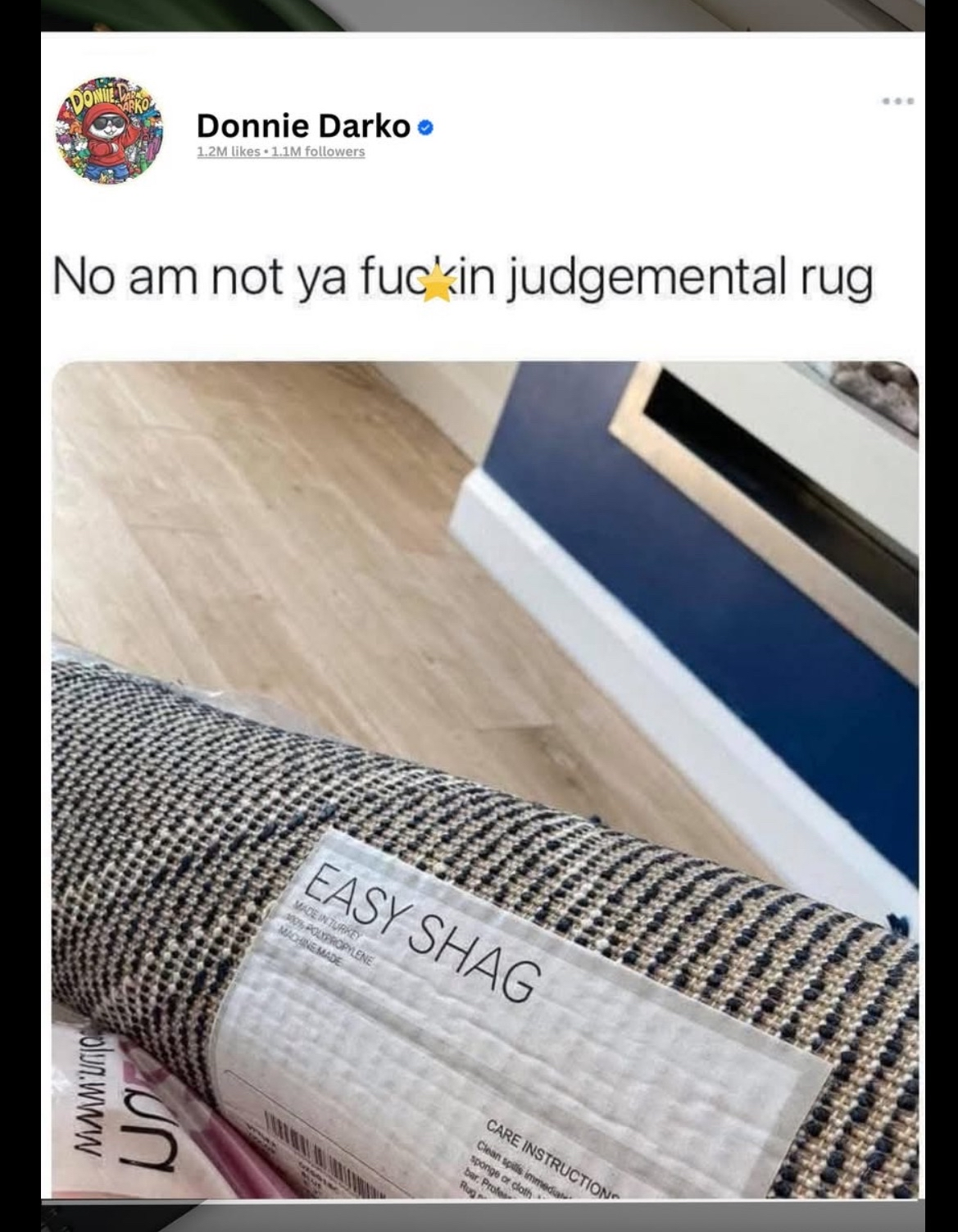 When you buy an "easy shag" rug and it's judgmental