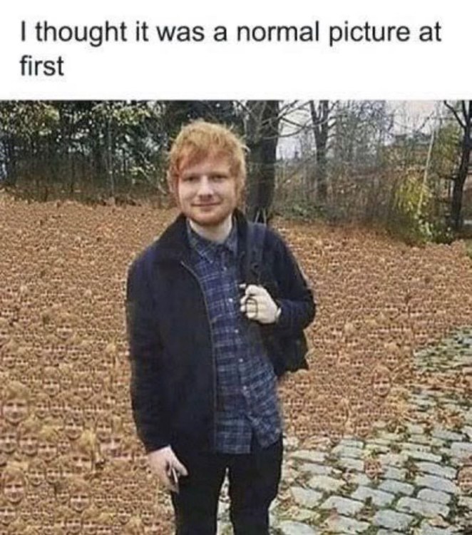 This picture looked normal until I saw all the little Ed Sheerans in the leaves