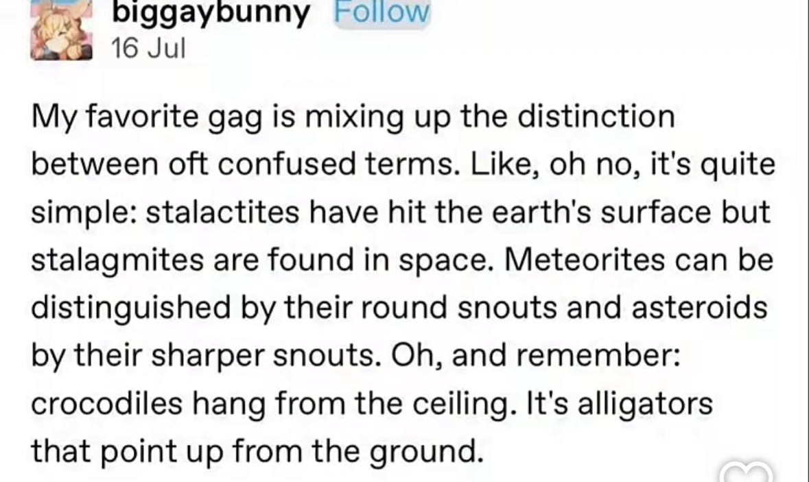 This person explaining stalactites, stalagmites, meteorites, asteroids, crocodiles, and alligators has me questioning all my life choices.
