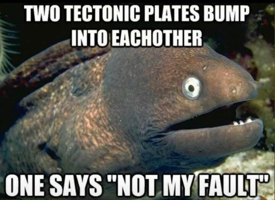Lol this eel is saying "not my fault" when tectonic plates bump into each other