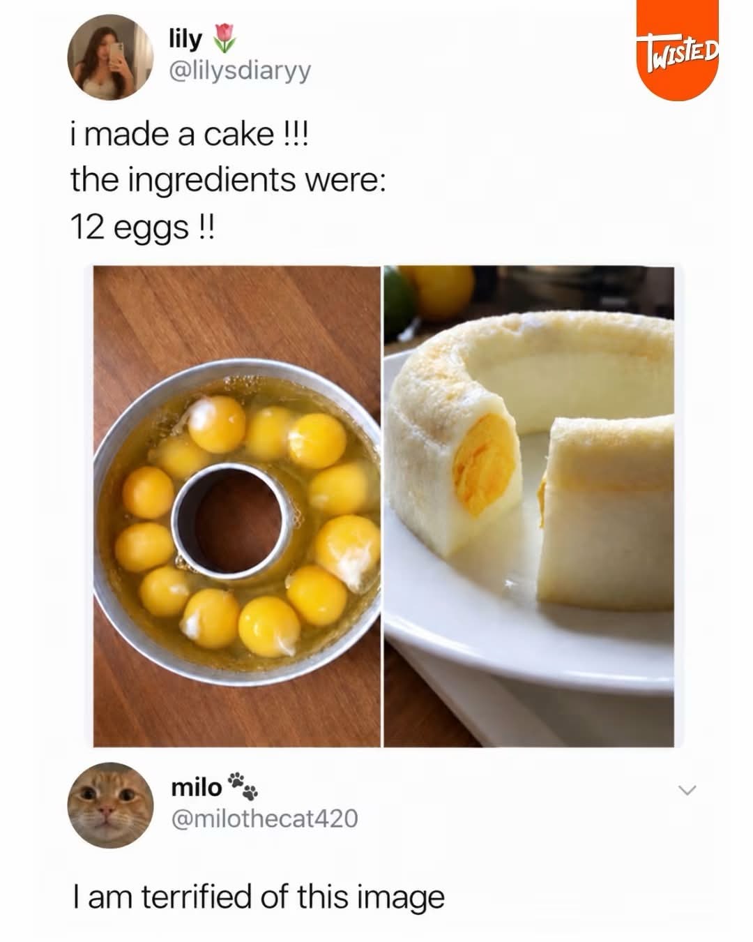 So this is what happens when you use only eggs to make a cake lol