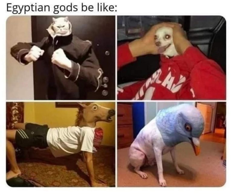 Who knew Egyptian gods were just animals with human bodies and existential crises?