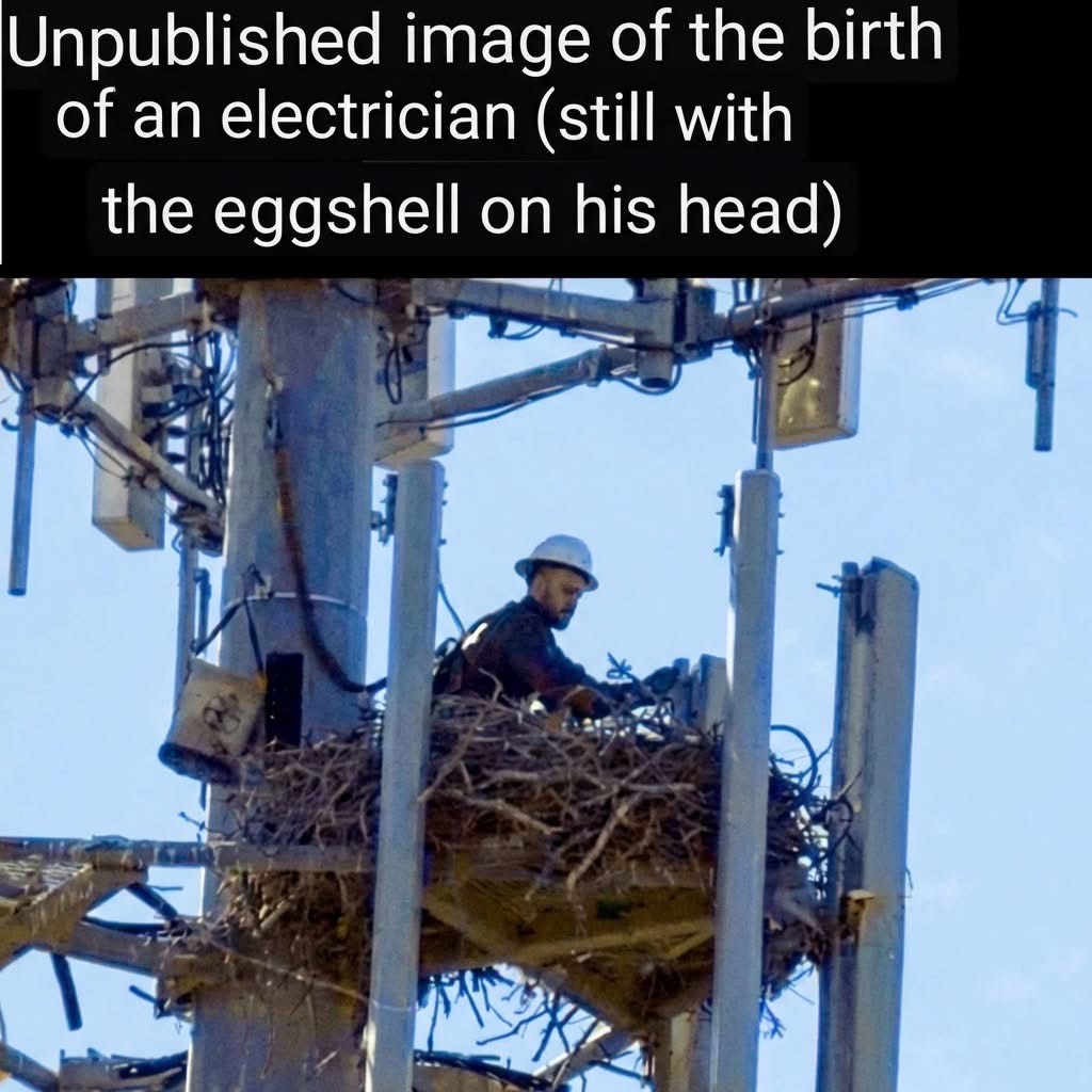 This electrician must have just hatched lol
