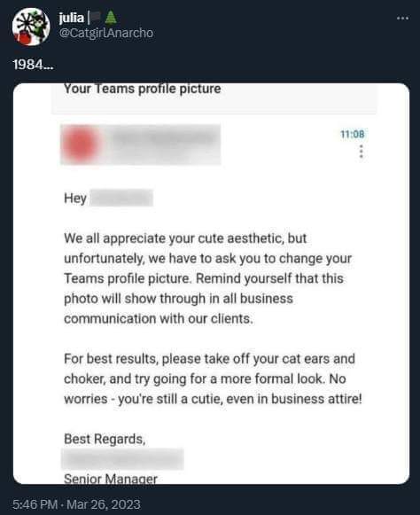 My employer asking me to remove my cat ears and choker from my Teams profile pic because 'clients'.