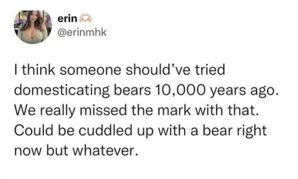 lol who knew we should've domesticated bears so we could cuddle them