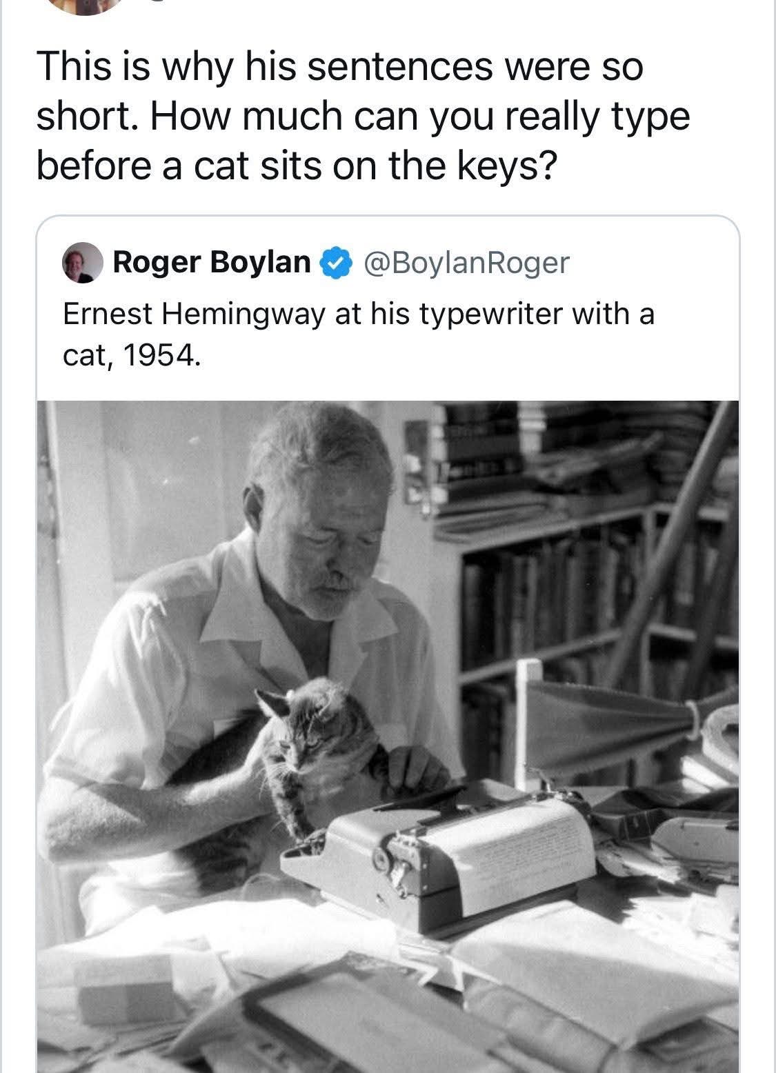So THAT'S why Hemingway's sentences were so short. Cats, man.