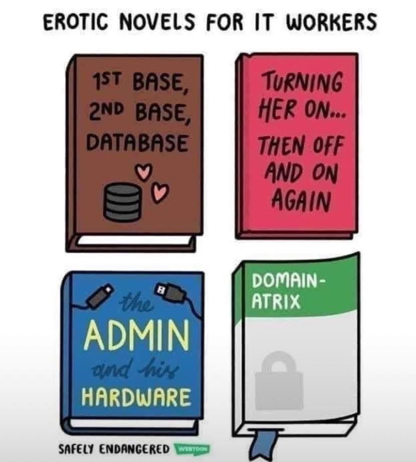 This is too real, IT workers definitely have some weirdly specific erotic novel titles
