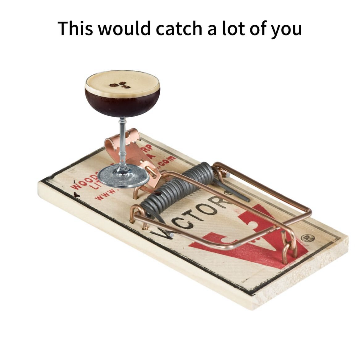 This fancy espresso martini is the bait lol