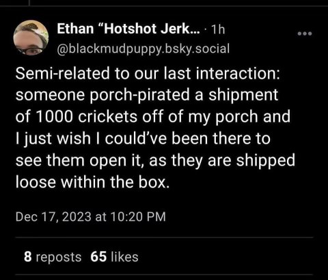 Imagine porch pirates stealing 1000 loose crickets lol, I would have loved to see their faces
