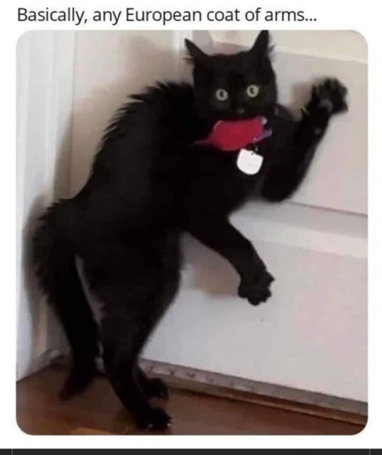 This black cat looking feral is basically every European coat of arms, lol