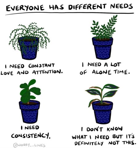 Me trying to figure out what I need in life, but also my plants apparently