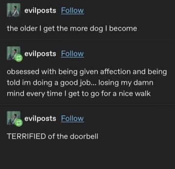 When you realize you're becoming more dog-like the older you get, obsessed with walks and terrified of the doorbell.
