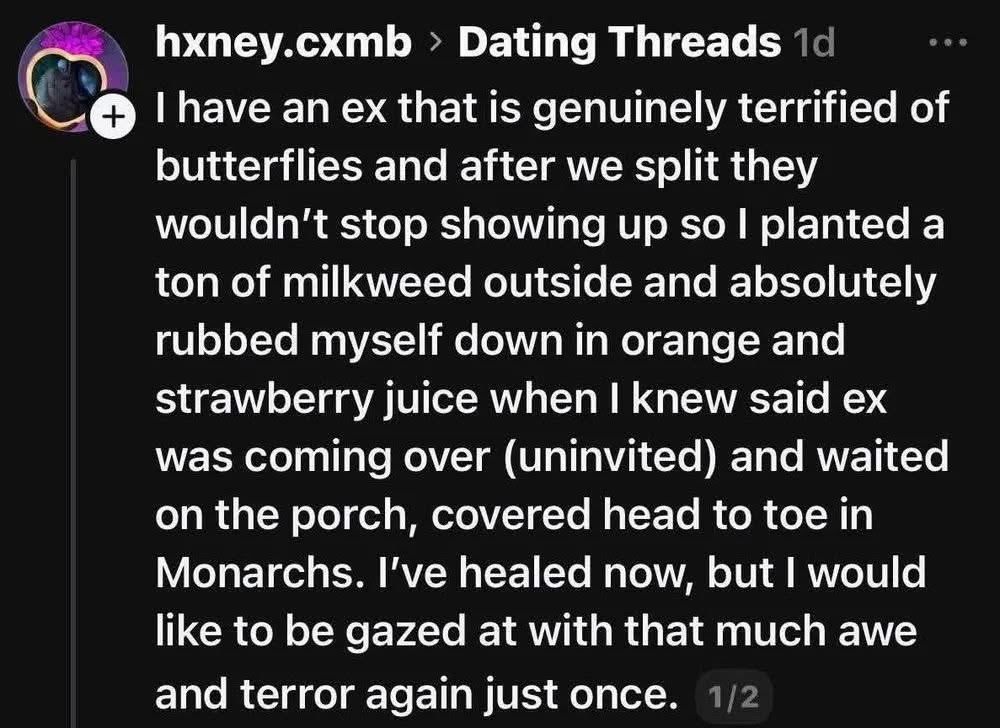 Okay but this person basically turned themselves into a giant butterfly lure to scare their ex. Goals.