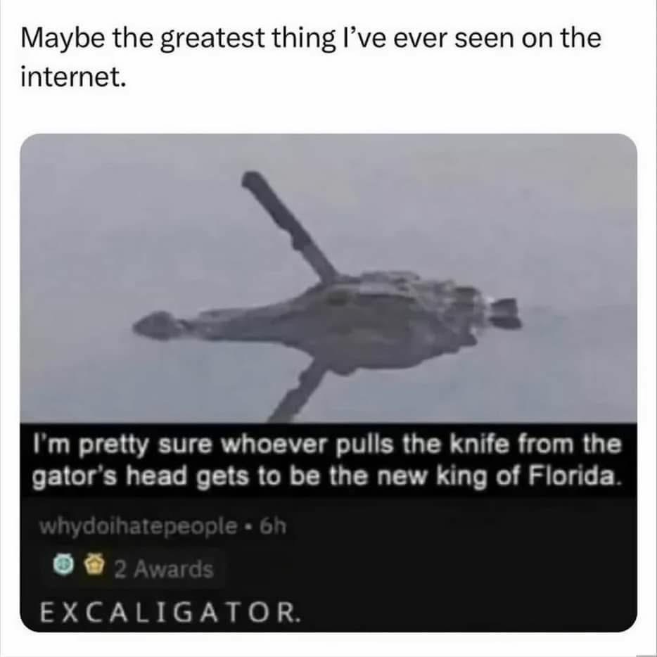 lmao, they called it Excaligator because whoever pulls the knife from the gator's head becomes king of Florida