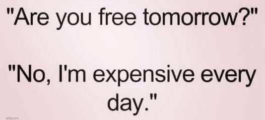 When someone asks if you're free but you're busy being fabulous and expensive