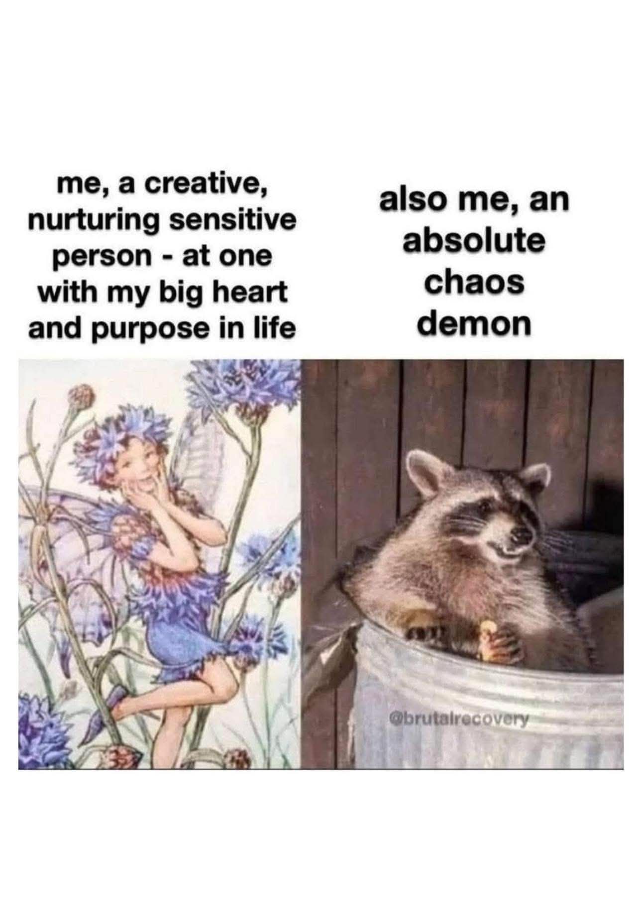 Me trying to be a gentle soul vs. me being a raccoon in a trash can