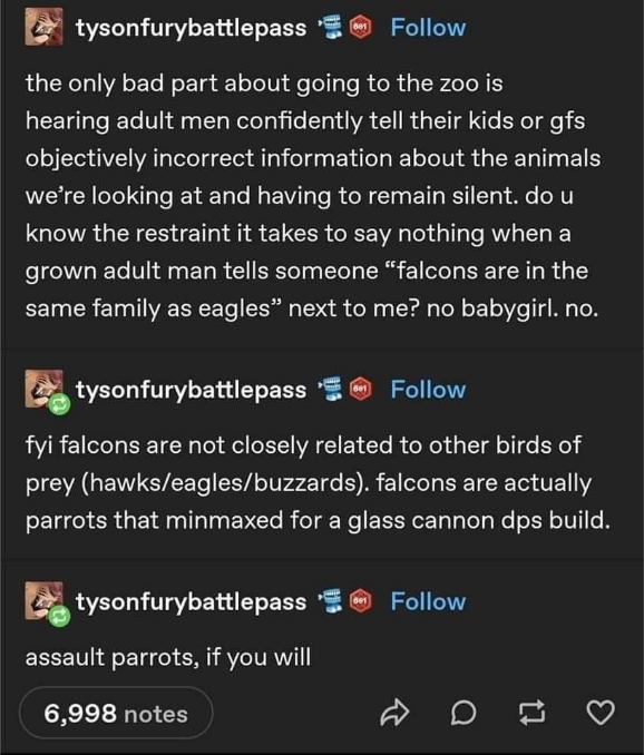 When you learn that falcons are basically parrots that evolved to be glass cannons