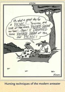 When your entire picnic is just potato salad and you drop it all. The hunter has become the hunted.