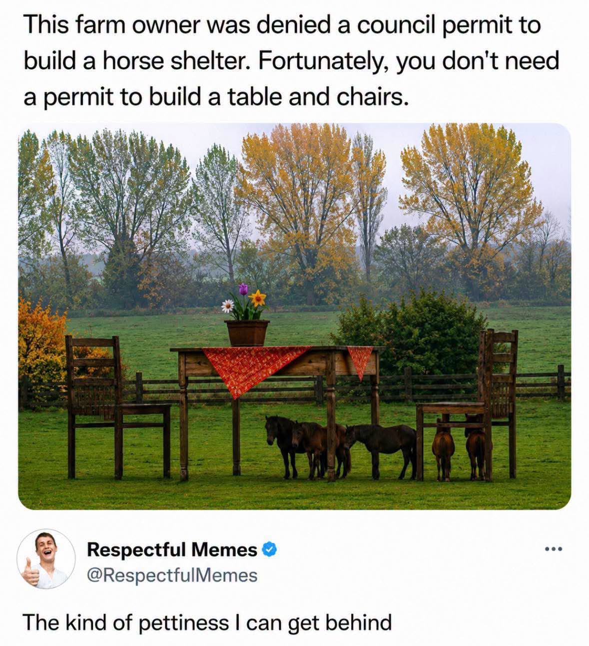 When the council says no to a horse shelter but you can still have horses under a table and chairs.
