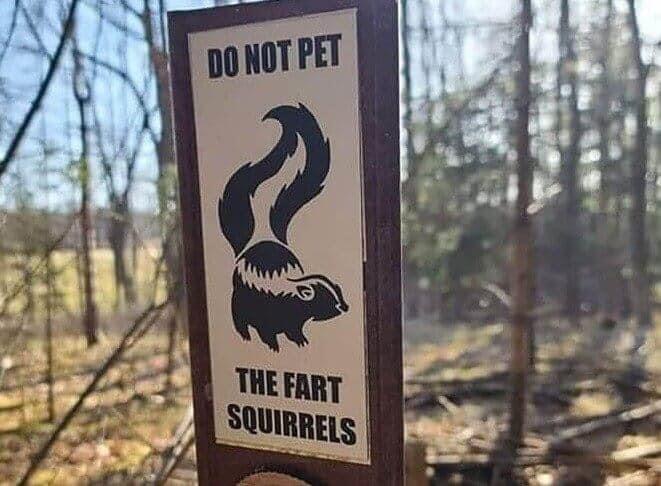 Wait, fart squirrels? Is that a thing and why do I feel like I've encountered one before?