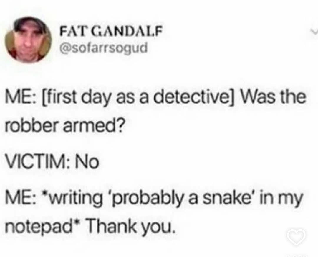Me on my first day as a detective, suspecting a snake was involved in the robbery.
