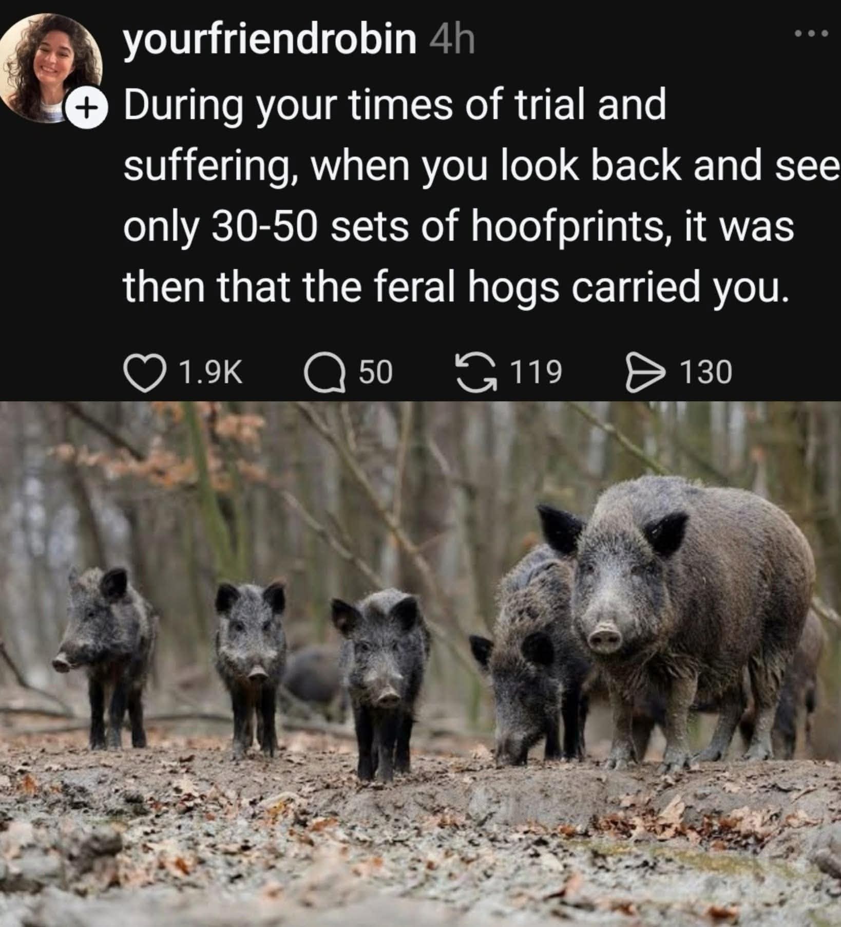 When you realize the only evidence of your past struggles is a small group of feral hogs carrying you.