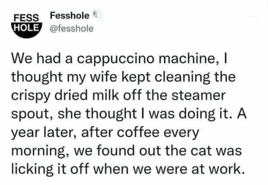 Thought my wife was cleaning the cappuccino machine, turns out it was just the cat licking dried milk off it all year.