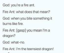 So fire ants think they're tiny dragons because they burn when they bite. This has big 'misunderstanding the assignment' energy.