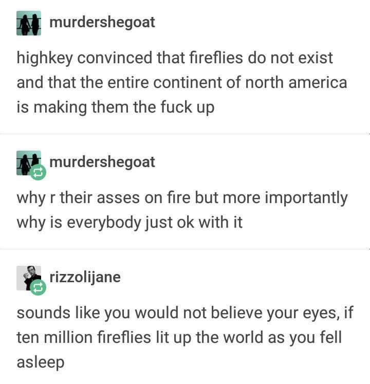 Someone unironically thinks fireflies aren't real but then someone else quotes Owl City back at them