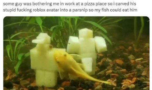 Some people just wanna watch the world burn, I just wanna watch my fish eat a Roblox avatar carved into a parsnip.