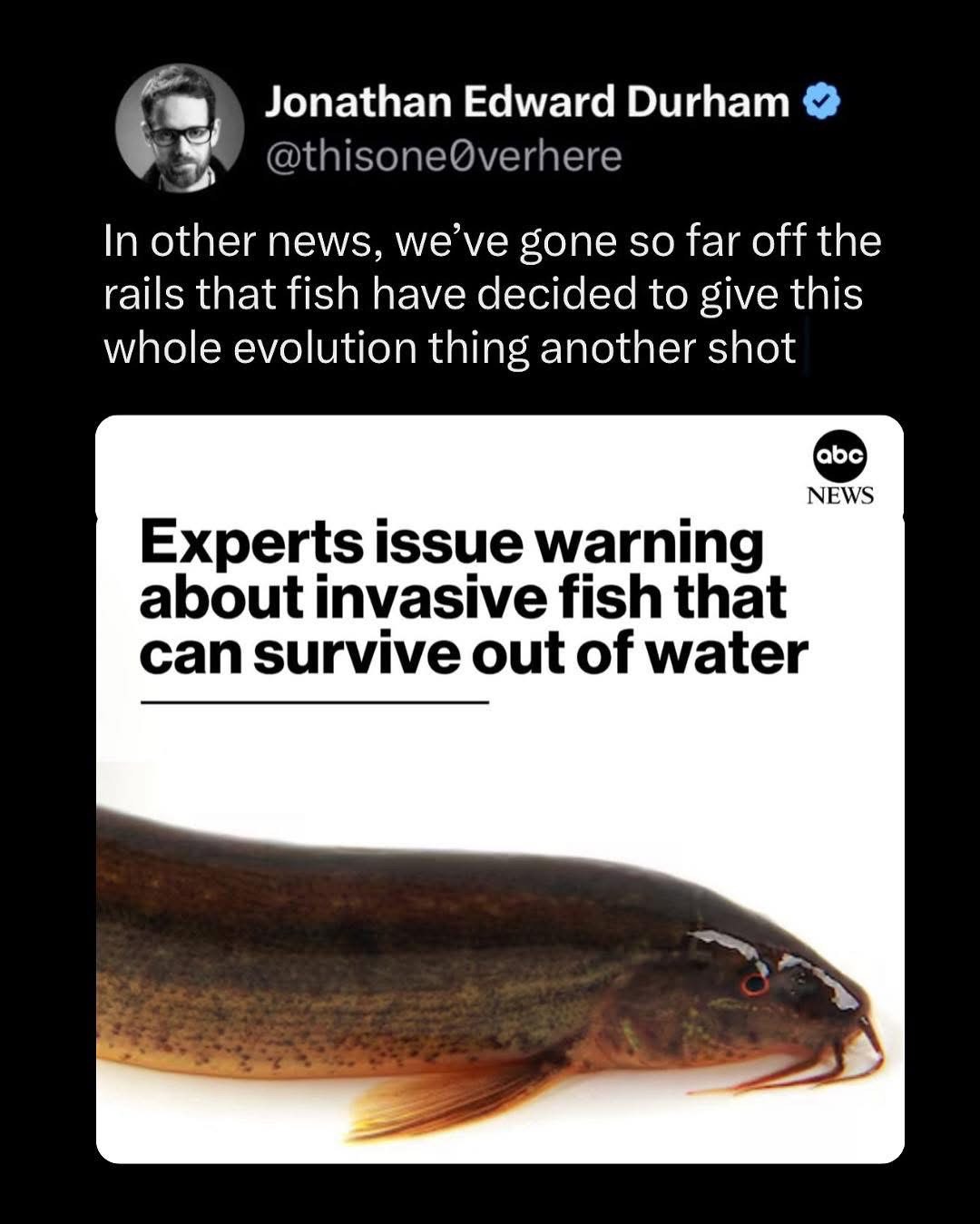 When fish are like 'evolution, but make it extreme'