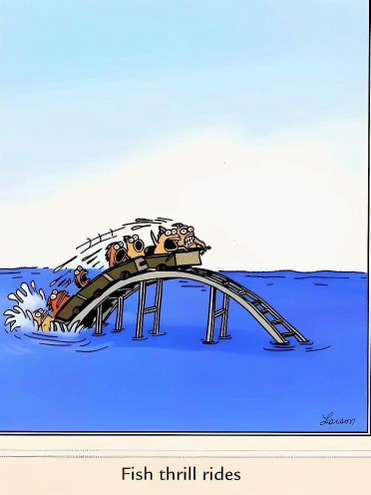 When the fish decide to experience the thrill of a rollercoaster and it ends exactly how you'd expect.