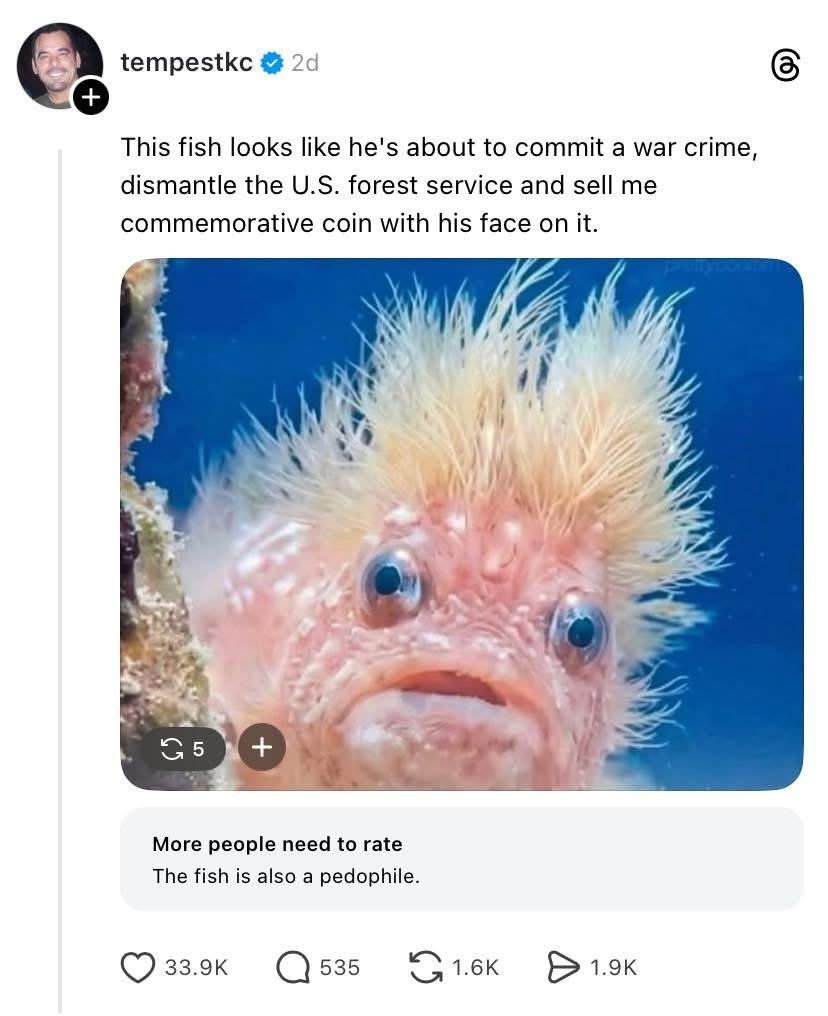 This fish looks like he's about to commit a war crime and sell you a commemorative coin with his face on it.