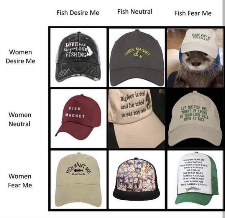 This is basically the ultimate tier list for men based on how women and fish perceive them.