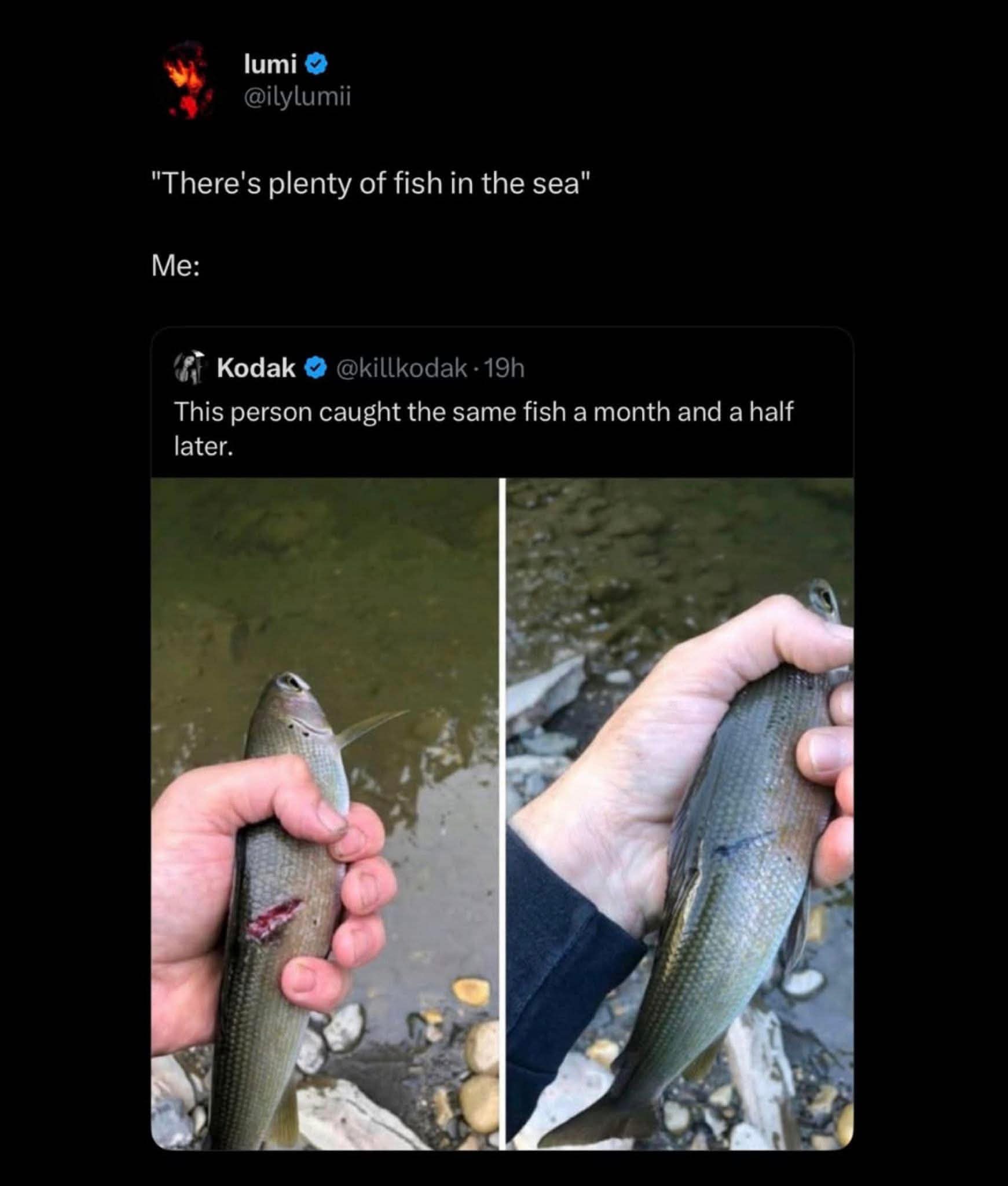 When someone tells you there are plenty of fish in the sea but you keep catching the same one