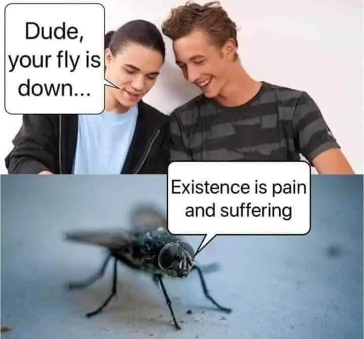 When you find out your fly is down but also that existential dread is a thing for flies too