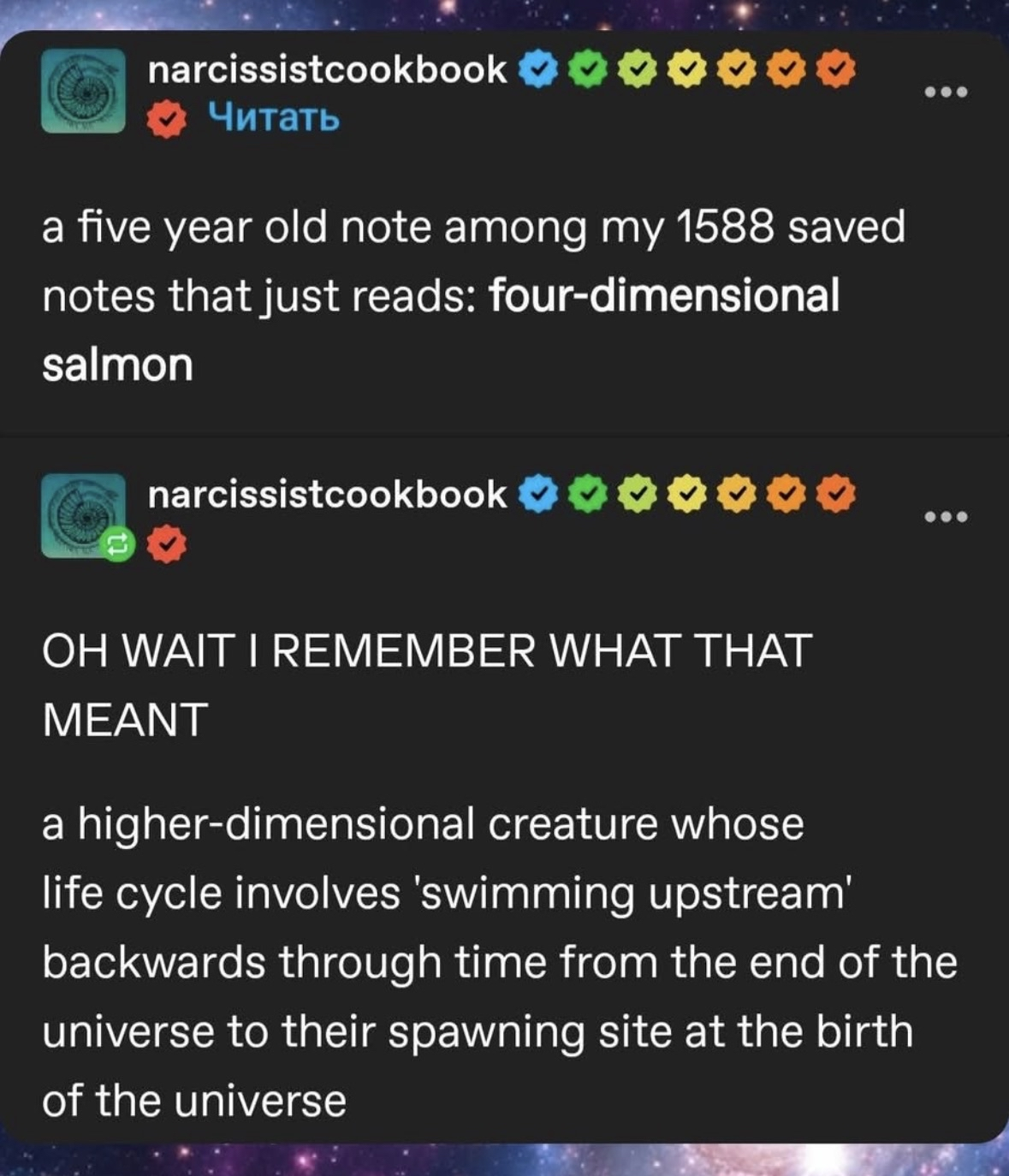 When you find a saved note from your past self that reads 'four-dimensional salmon' and then suddenly remember the incredibly high-concept explanation