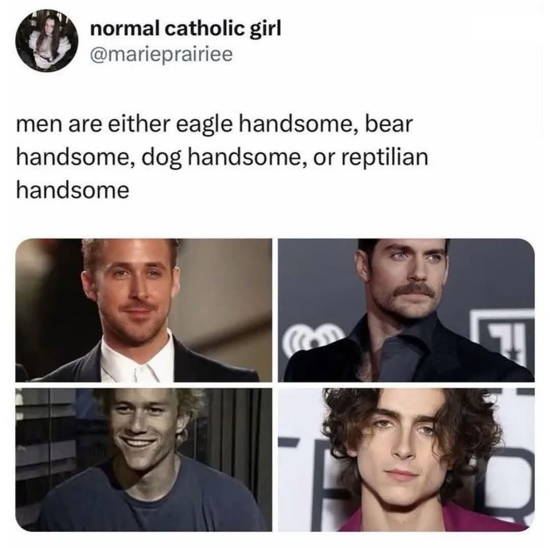 Apparently men's handsomeness falls into four categories: eagle, bear, dog, or reptilian. I'm not sure I agree but it's kinda funny.
