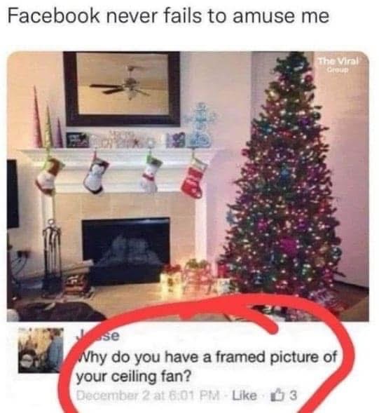 Who frames a picture of their ceiling fan? I have so many questions.