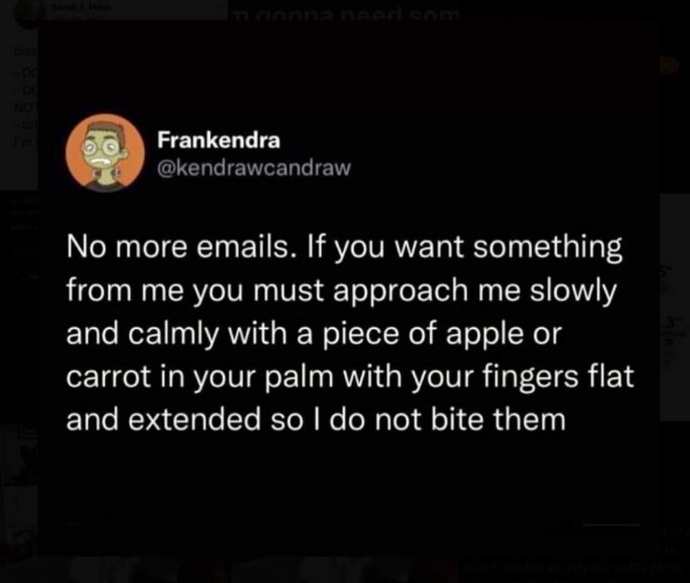 This is how I want all my work emails to be answered from now on. Especially the ones asking for snacks.