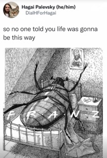 When you wake up a giant bug and realize life's not what you expected, lol