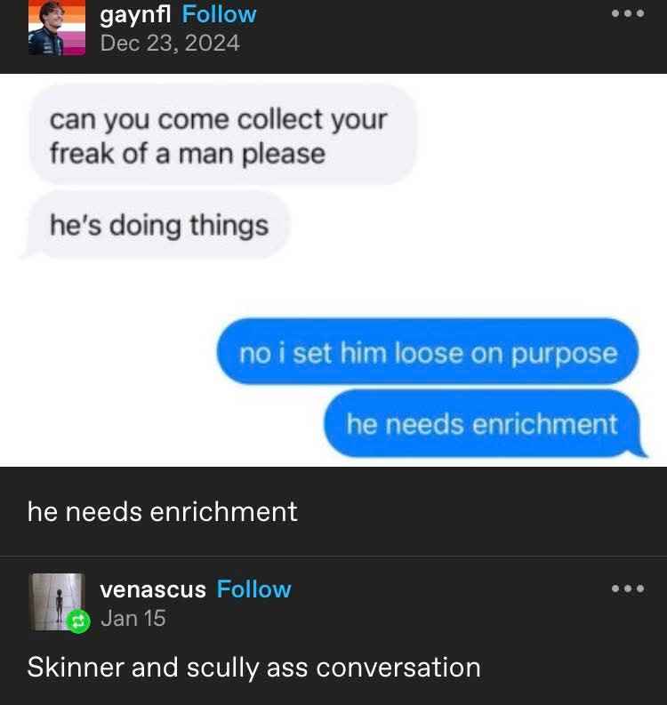 My partner letting me unleash my chaotic energy because I need 'enrichment'.