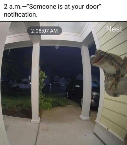 Yeah, no thanks, I'll just stay inside if a frog is trying to get in at 2 AM