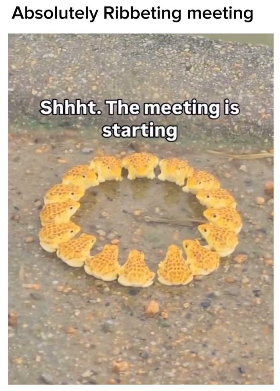 Frog biscuits having a meeting is absolutely ribbeting.