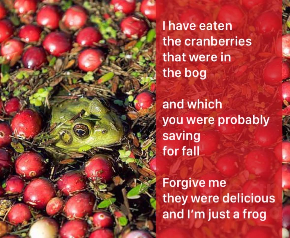 My bad, I ate all your cranberries for fall. 
Sorry, not sorry, I'm just a frog.